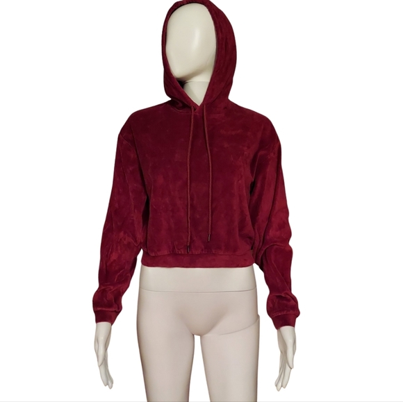 Hot Topic Burgundy Velour Girls Crop Hoodie - Picture 3 of 11